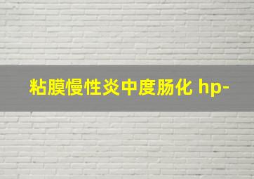 粘膜慢性炎中度肠化 hp-